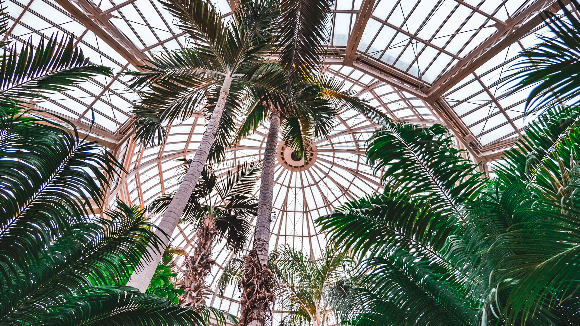 Host your meeting in the Como Zoo Conservatory 
