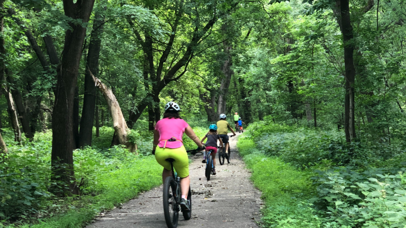 Bike riders ride mountain bikes along a wooded dirt trail flanked by green trees in Saint Paul, MN.