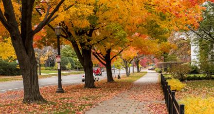 Your Fall in Saint Paul Weekend