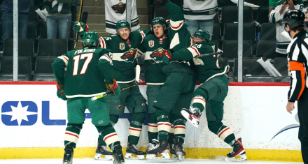 Where to Watch The Wild