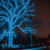 Best Places to See Holiday Lights in Saint Paul