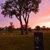 Saint Paul’s 19th Holes