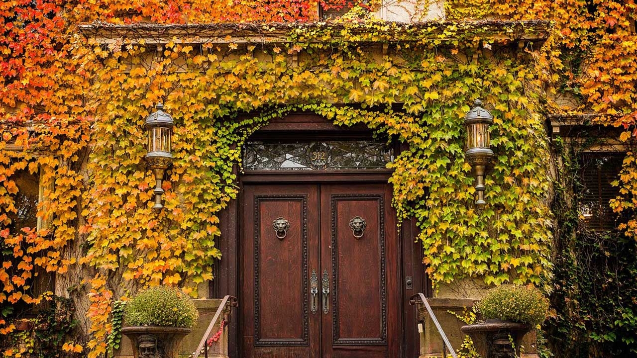#MYSAINTPAUL in the Fall: A Photo Story #MYSAINTPAUL in the Fall: A Photo Story